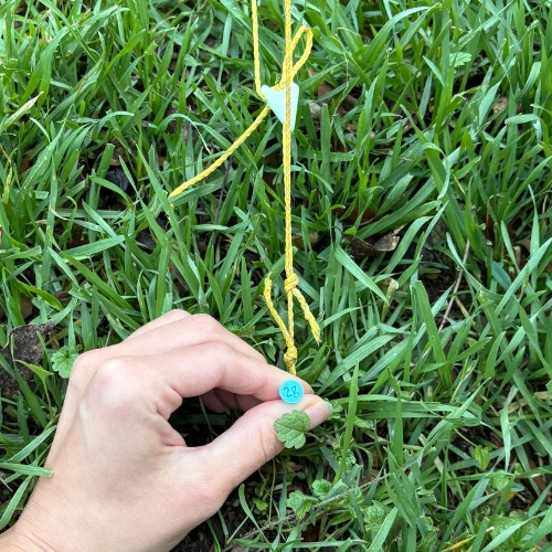 2g Tent Stake by Pachallama - Image 7