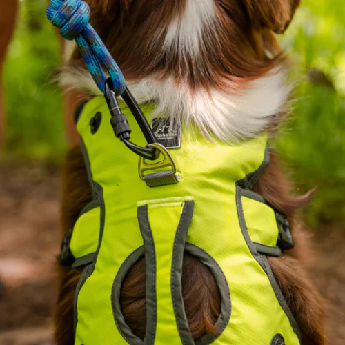 Adventure 2-Piece Dog Pack by Alpha Pak - Image 13