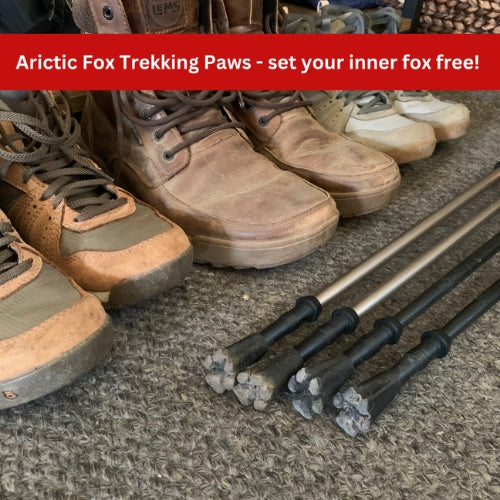 Arctic Fox Trekking Paws by Preservation Dogs - Image 17