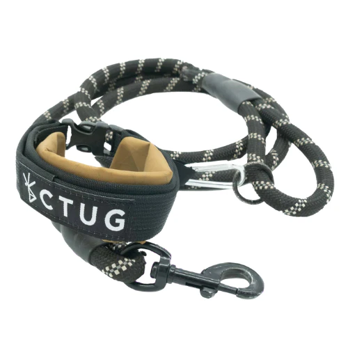 Ultra Dog Bowl by Chicken Tramper Gear - Image 7