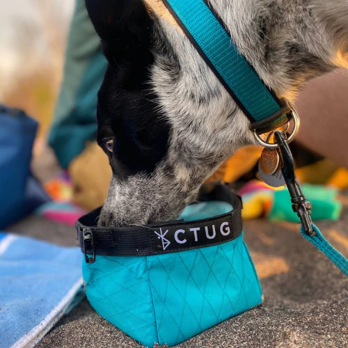 Ultra Dog Bowl by Chicken Tramper Gear - Image 9