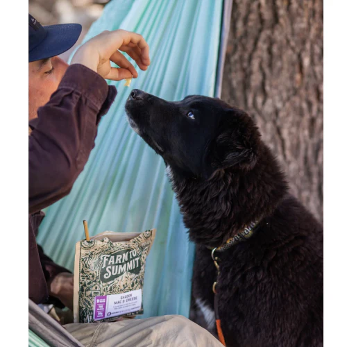Garden Mac & Cheese by Farm to Summit - Image 5