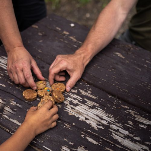 Maple Pecan Trail Cookies by Angry Pika Food Co. - Image 6