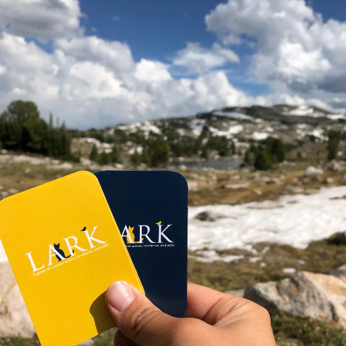 Lark, A Game of Challenge and Chance by PlayLark - Image 14