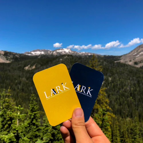 Lark, A Game of Challenge and Chance by PlayLark - Image 15