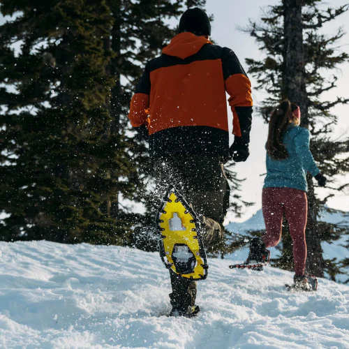 Race (20") by Northern Lites Snowshoes - Image 18